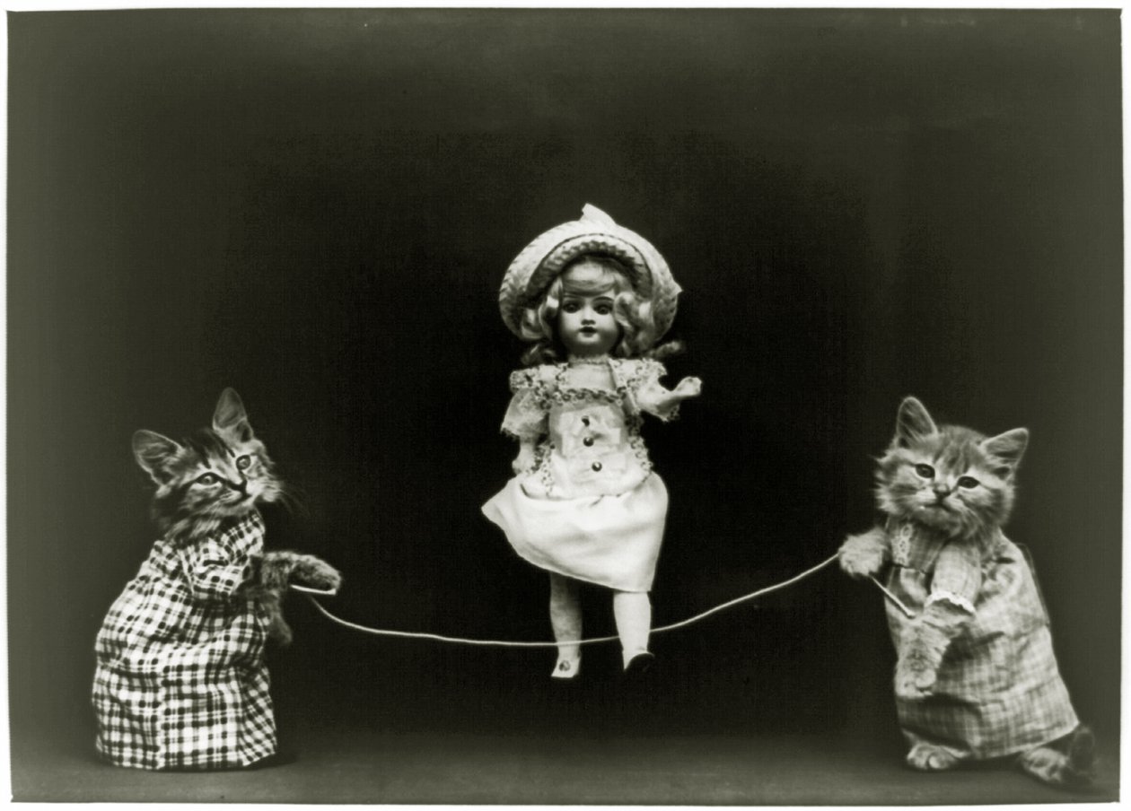Katzeneugier, 1891 von American School
