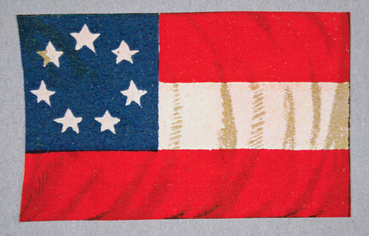 Flagge der Konföderierten Staaten von Amerika von American School