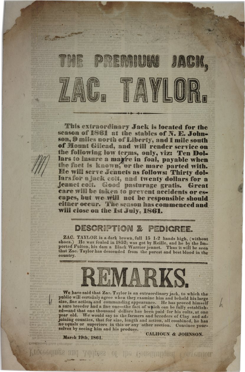 Verhandlungen und Ansprache der Verfassungskonvention, ca. 19. März 1861 von American School