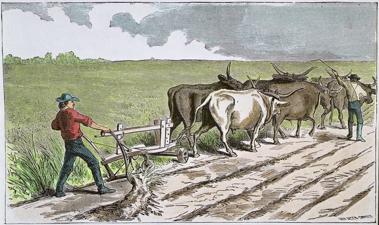 Sodbuster des amerikanischen Westens, ca. 1880 von American School