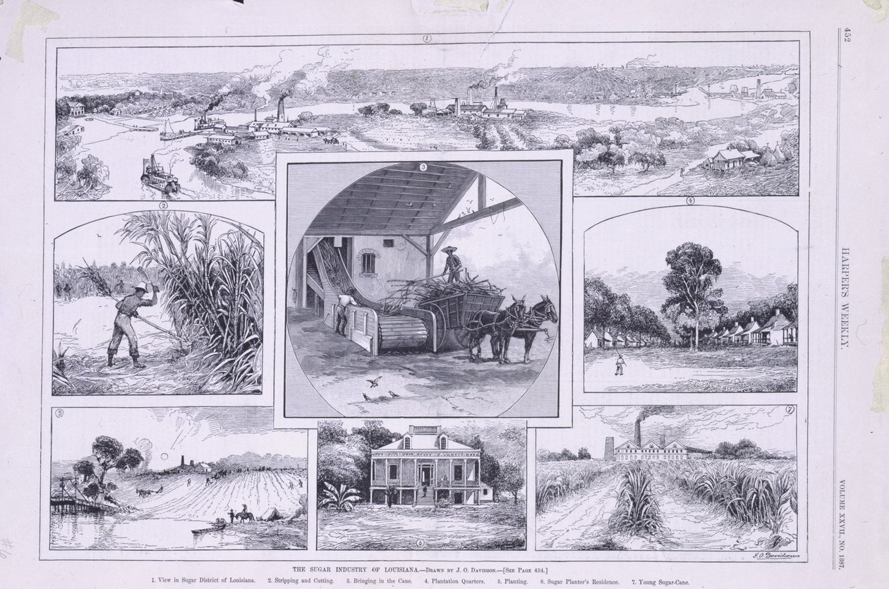 Die Zuckerindustrie von Louisiana von American School