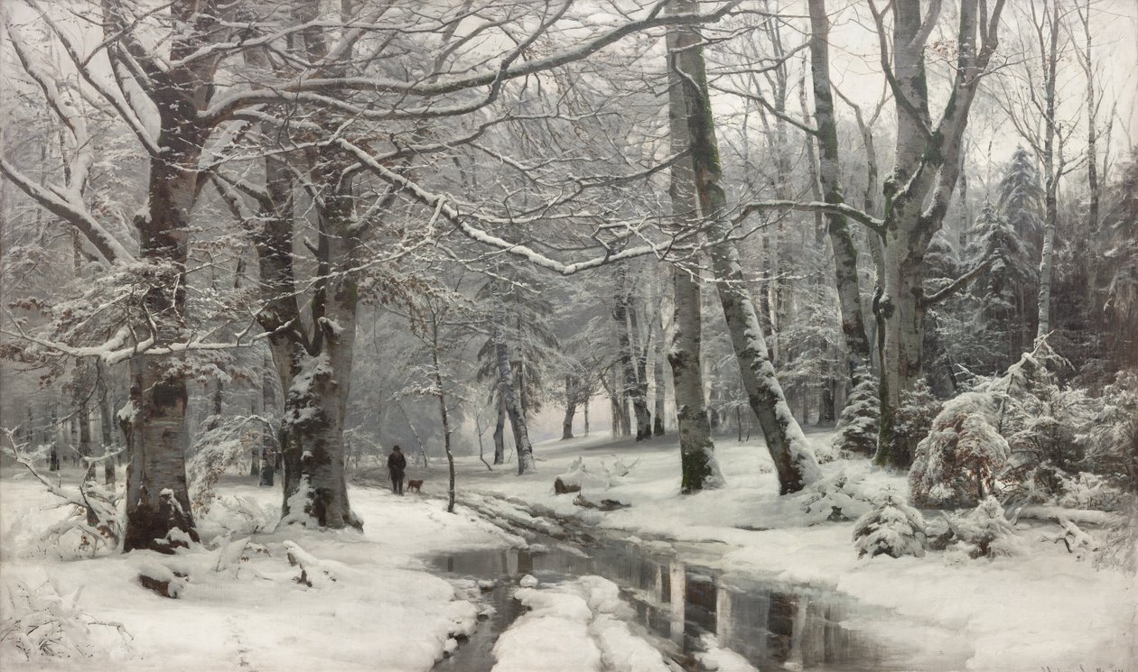 Tauwetter in einem Buchenwald von Anders Andersen Lundby