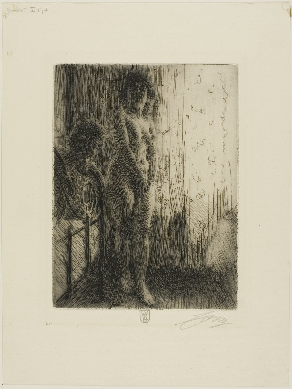Eine dunkle Ecke von Anders Leonard Zorn
