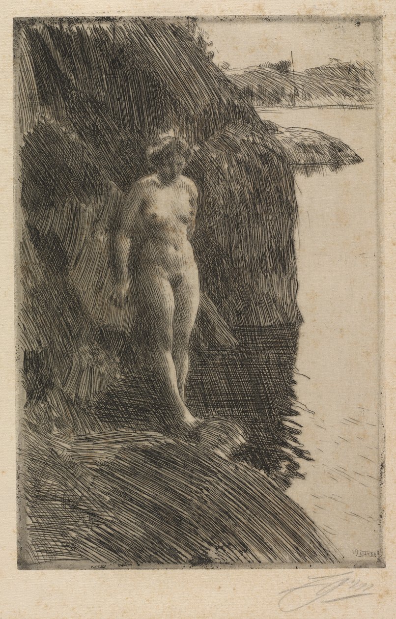 Abgrund von Anders Zorn