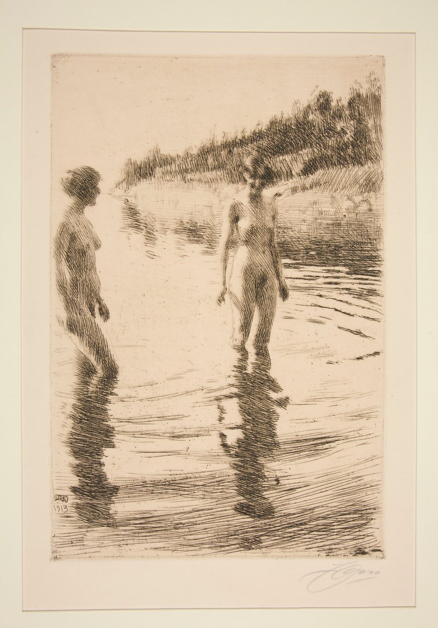 Flach von Anders Leonard Zorn