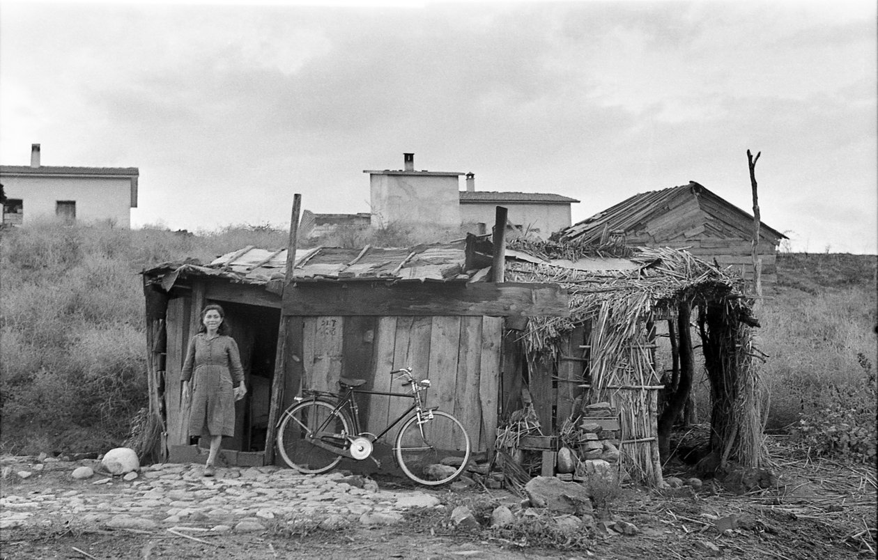 CROTONE - LANDNAHME von Ando Gilardi