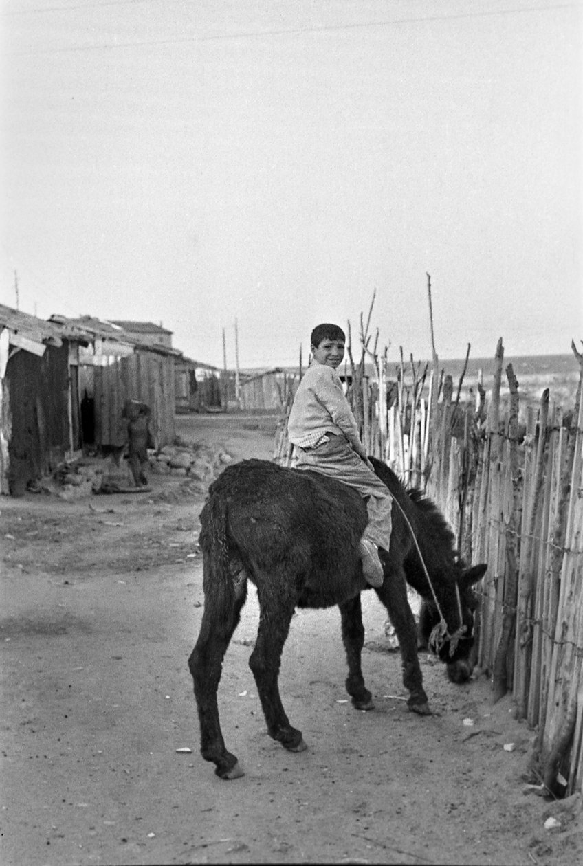 Crotone - Auf der Suche nach Essen von Ando Gilardi