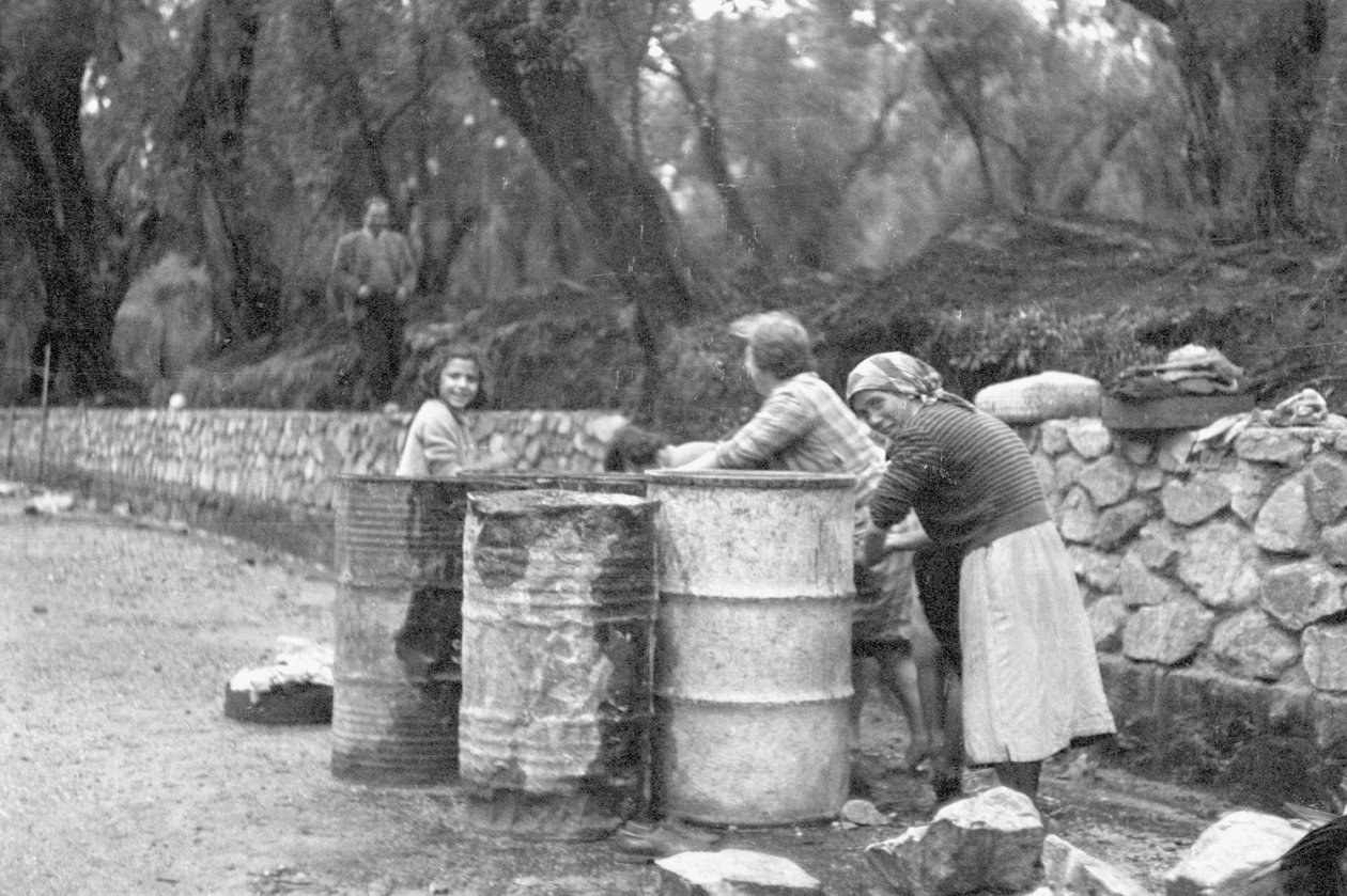 Olivenpflücker von Ando Gilardi