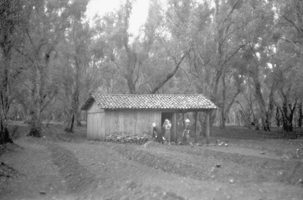 UNTERKUNFT IM OLIVENHAIN von Ando Gilardi