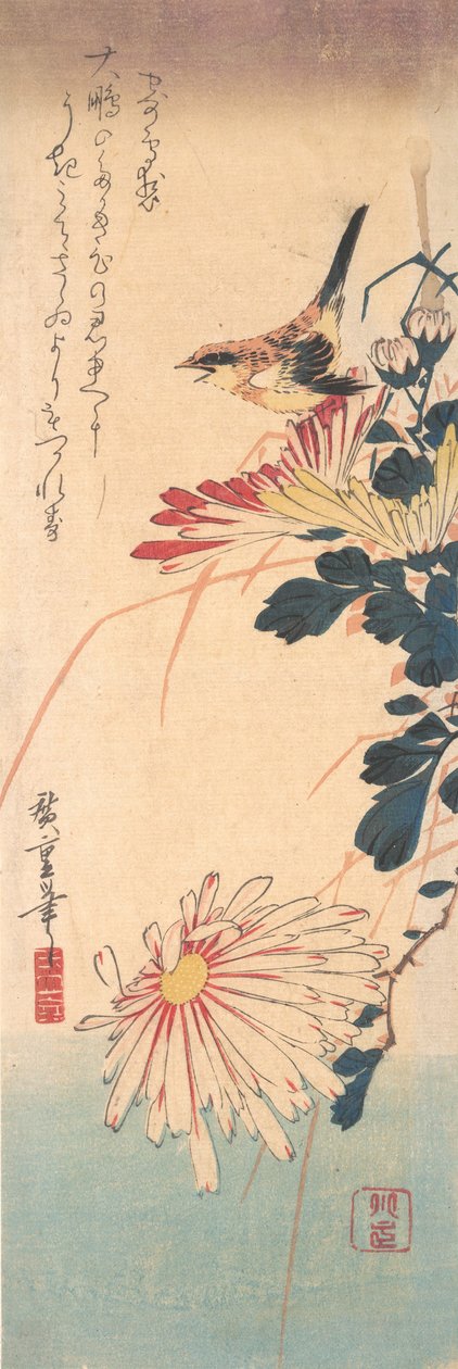 Ein Zaunkönig und Chrysanthemen, ca. 1830 von Ando Hiroshige
