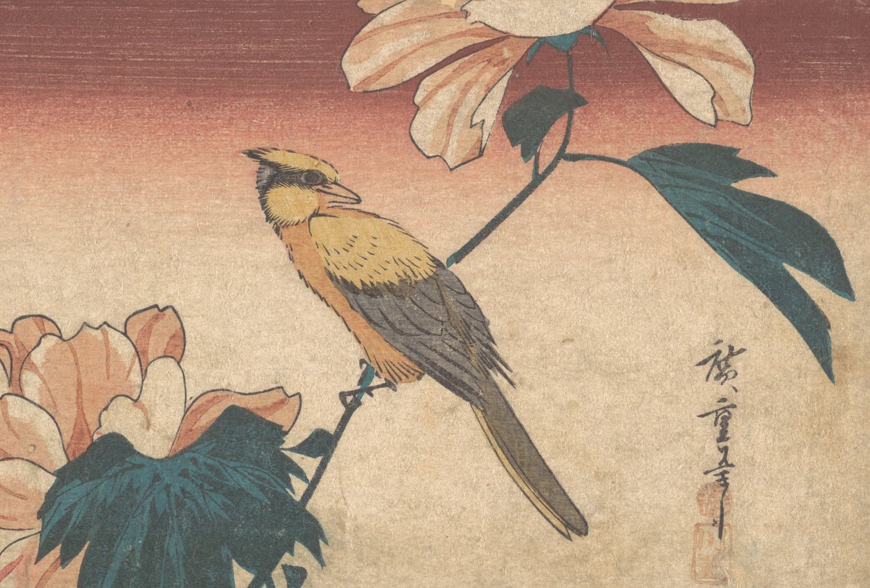 Hibiscus Mutabilis und Eichelhäher, ca. 1840 von Ando Hiroshige