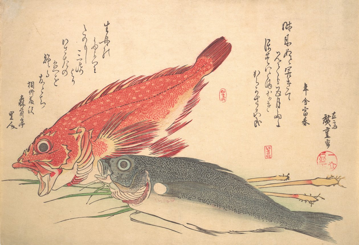 Isaki und Kasago Fisch, aus der Serie Uozukushi Jede Fischart, 1830er Jahre von Ando Hiroshige