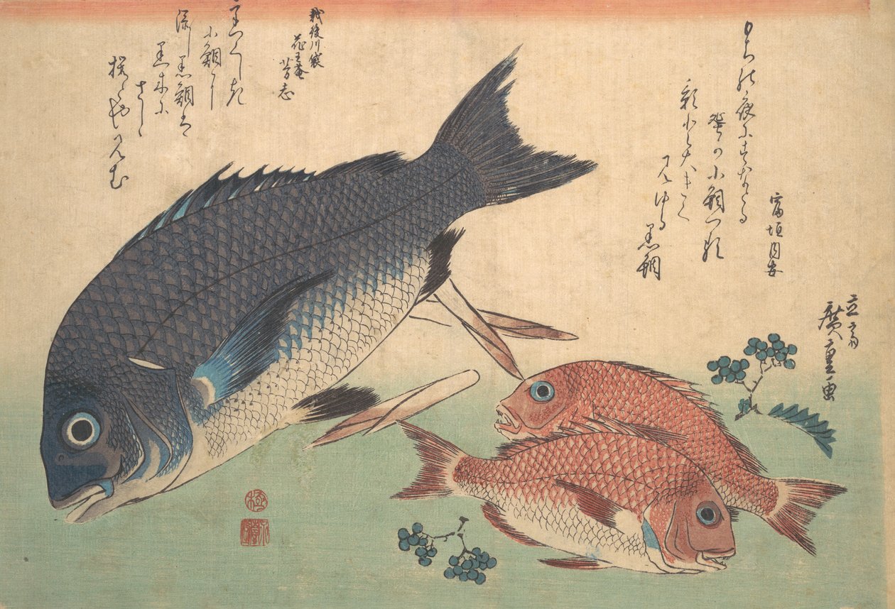 Kurodai und Kodai Fisch mit Bambussprossen und Beeren, aus der Serie Uozukushi Every V... von Ando Hiroshige