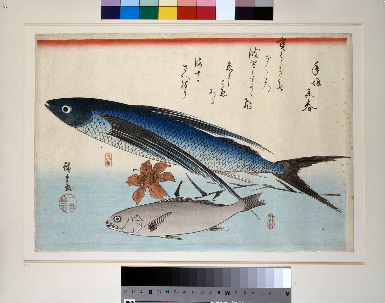 Fliegender Fisch, Ishimochi-Fisch und Lilie von Ando or Utagawa Hiroshige