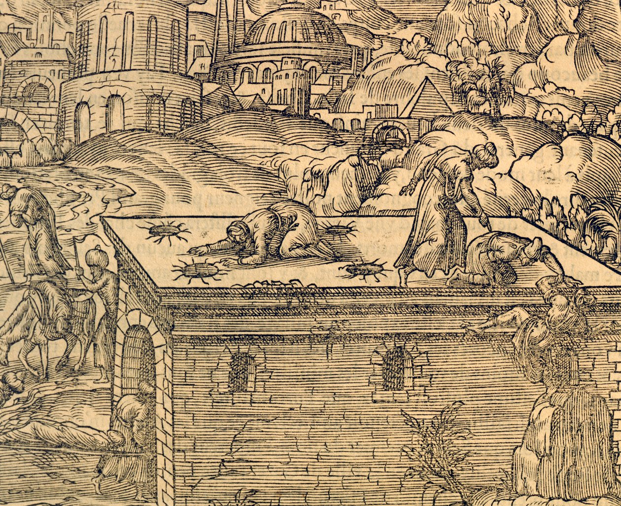 Christlicher Friedhof von Acheldemach, Stich aus Cosmographie universelle, von Andre Thevet (1504-1592), Paris von Andre Thevet