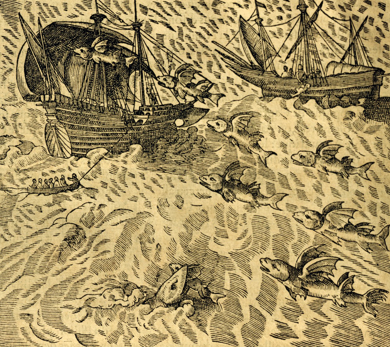 Fliegende Fische in tropischen Meeren, Gravur aus Cosmographie Universelle, von Andre