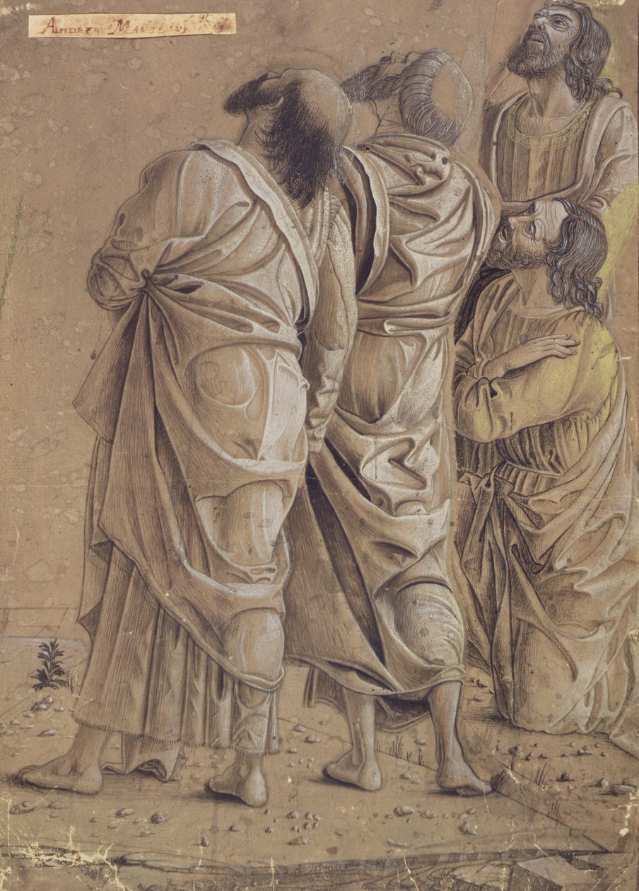 Gruppe von Aposteln aus der Himmelfahrt Christi, ca. 1506 von Andrea Mantegna
