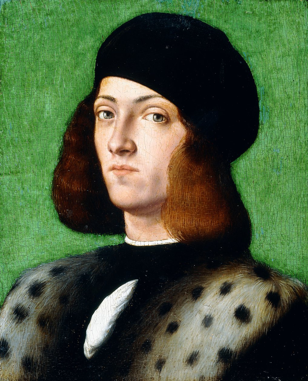 Porträt eines jungen Gentlemans, Brustbild, mit schwarzer Mütze und schwarzem Mantel, 1506 von Andrea Previtali