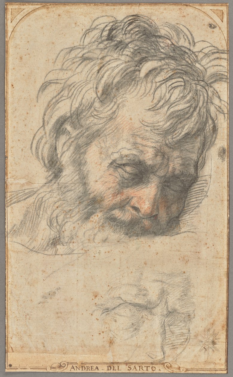 Studie für den Kopf des Heiligen Joseph (recto); Zwei Studien von Beinen (verso) von Andrea del Sarto
