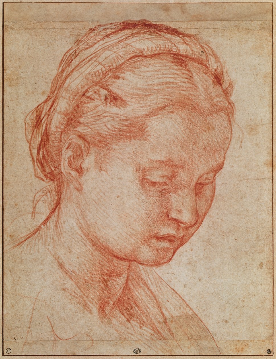 Studie des Kopfes der Heiligen Katharina für die Kreuzabnahme mit der Jungfrau Maria und Heiligen im Pitti-Palast, 1523-24 (Detail) von Andrea del Sarto