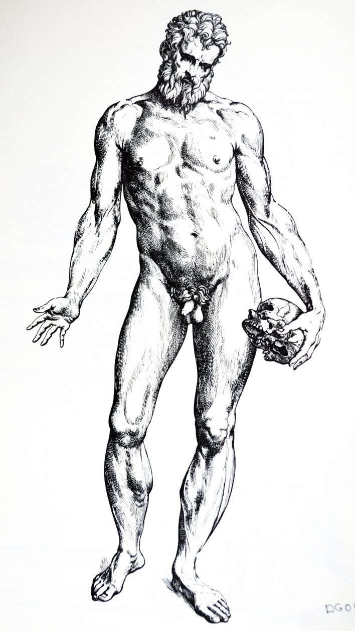 Die Platten aus dem siebten Buch der De Humani Corporis Fabrica von Andreas Vesalius