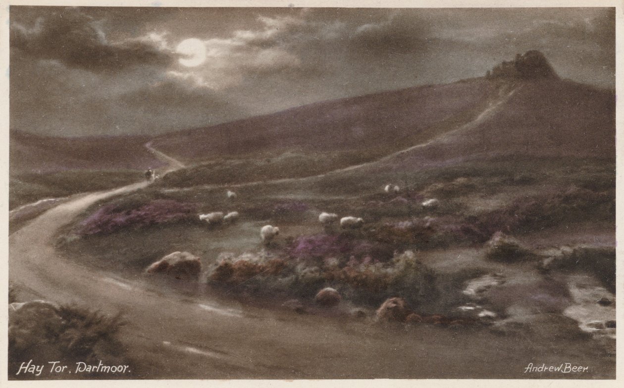 Hay Tor, Dartmoor von Andrew Beer