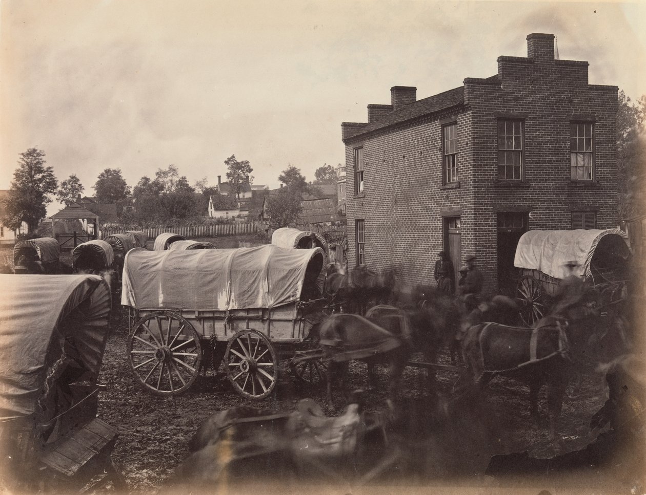 Straßenszene, Culpeper, Virginia von Andrew Joseph Russell
