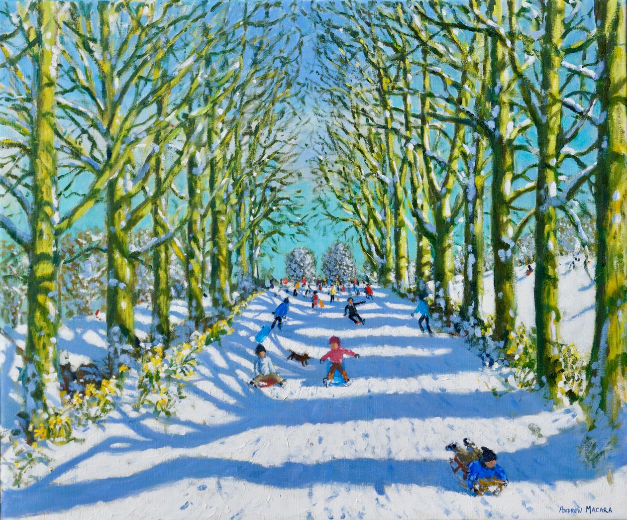 Spaß in der Sonne und im Schnee, Derby, 2022 von Andrew Macara