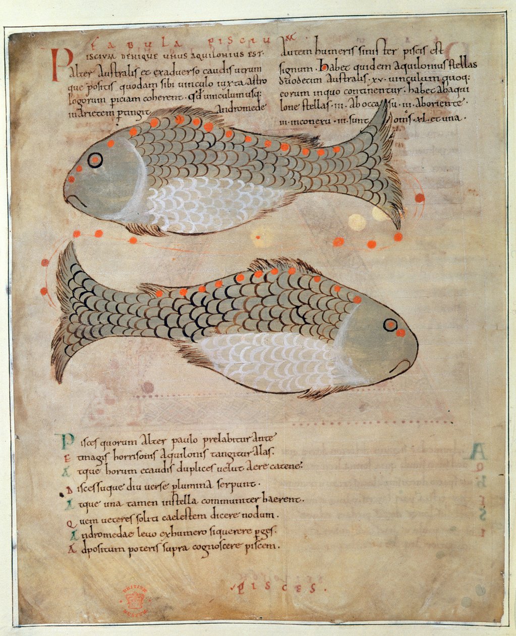 Die Konstellation Fische aus 