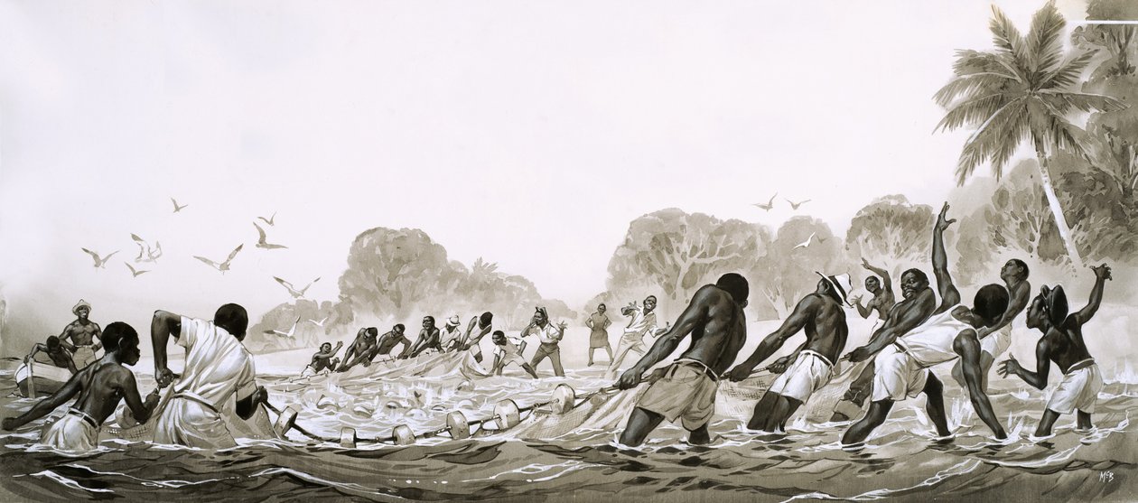 Einheimische der Karibik verwenden Netze, um die Meere nach Fischen abzusuchen von Angus McBride