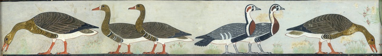 Kopie der Wandmalerei aus der Mastaba von Itet, Medum IV, 93-94 Gänse, 20. Jahrhundert von Anna