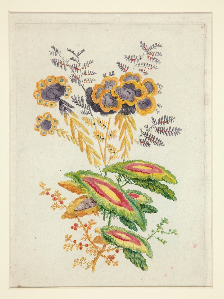 Fantastische Blumen, aus Neue Suite von Notizbüchern mit idealen Blumen für Designer und Maler von Anne Allen