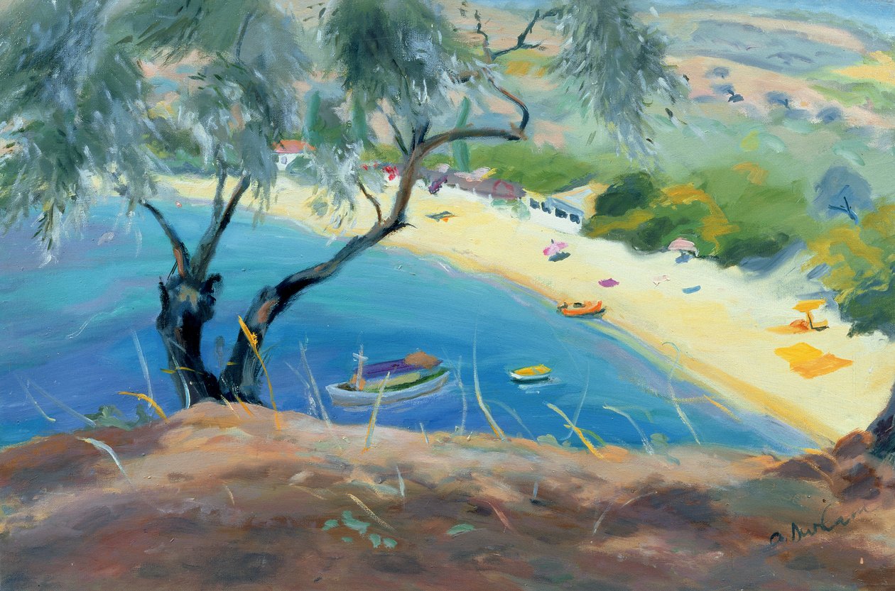 Achladies Bucht, Skiathos, Griechenland, 1985 von Anne Durham