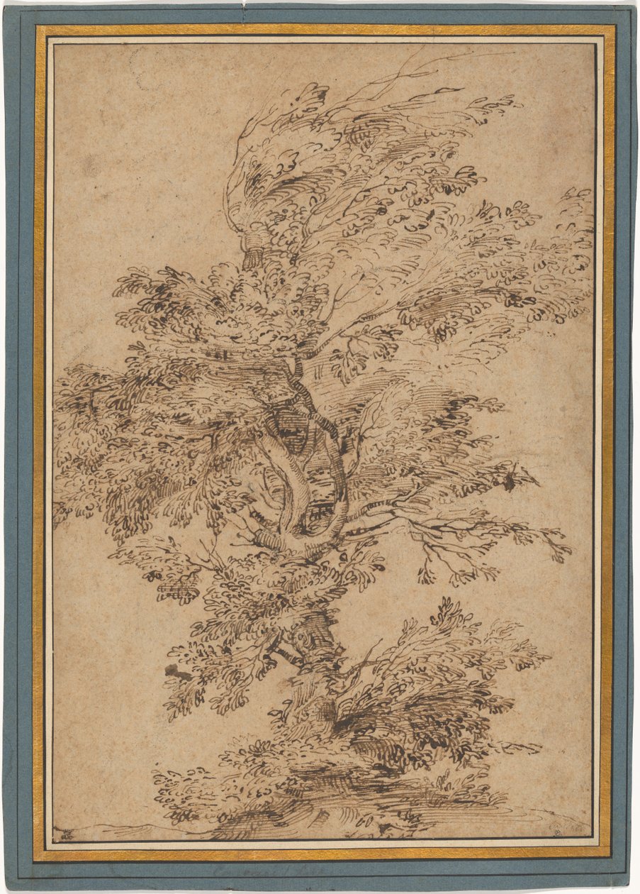 Studie eines Baumes von Annibale Carracci