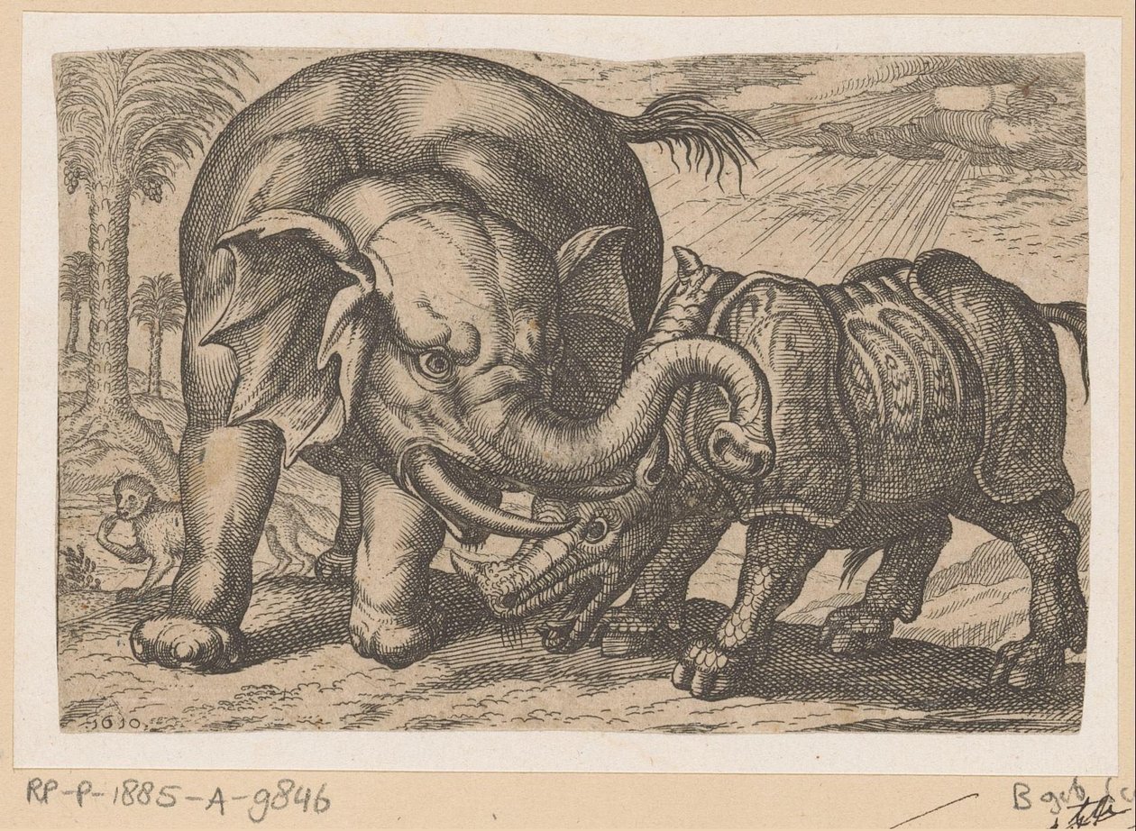 Ein Nashorn kämpft mit einem Elefanten von Anonymous