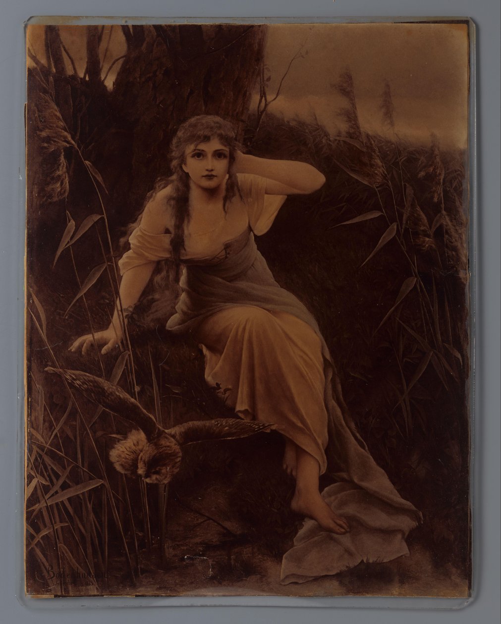 Fotoreproduktion eines Gemäldes einer jungen Frau mit Eule nach Cuno von Bodenhausen von Anonymous
