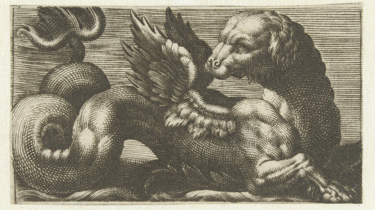 Geflügeltes Seeungeheuer mit einem Hundekopf von Anonymous