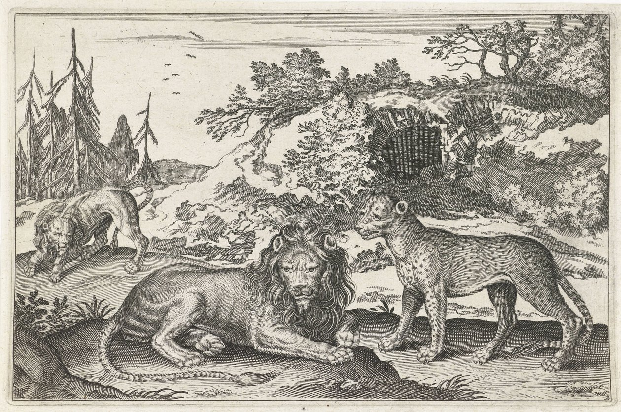 Löwen und Leopard von Anonymous