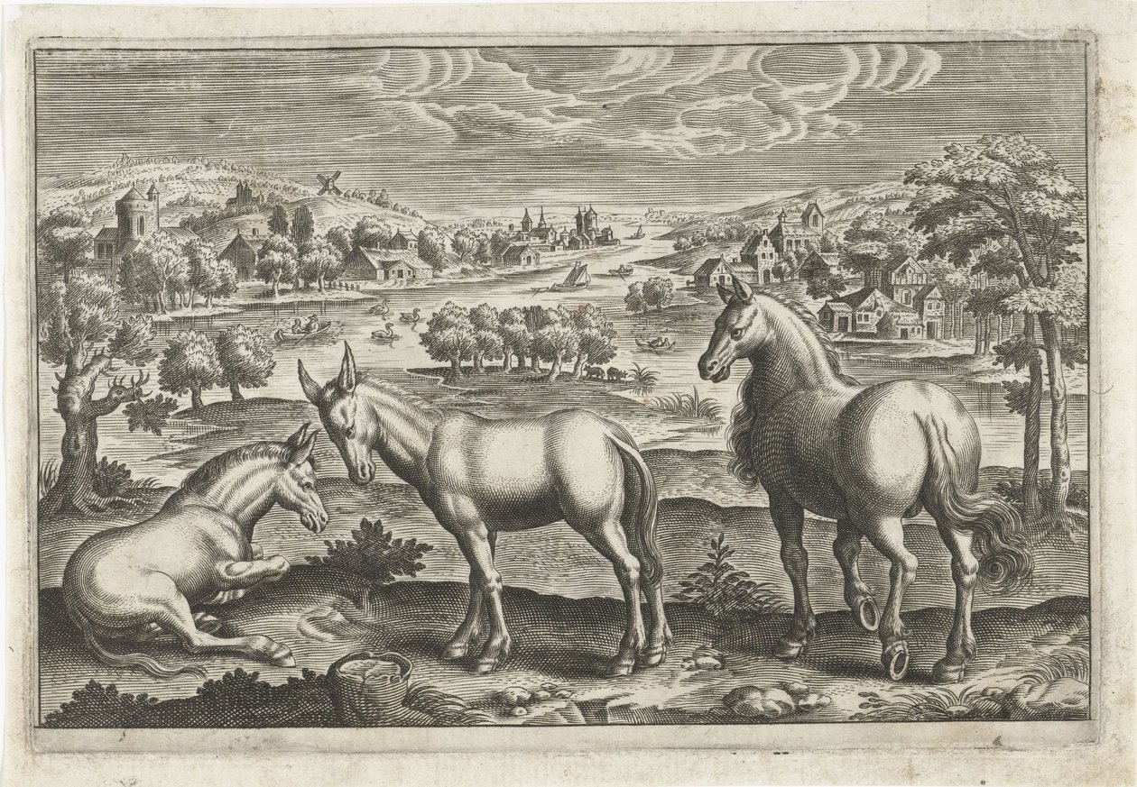 Pferd und Esel von Anonymous