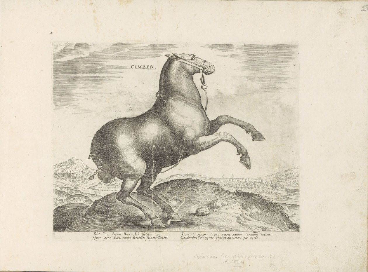 Pferd aus Skythien von Anonymous