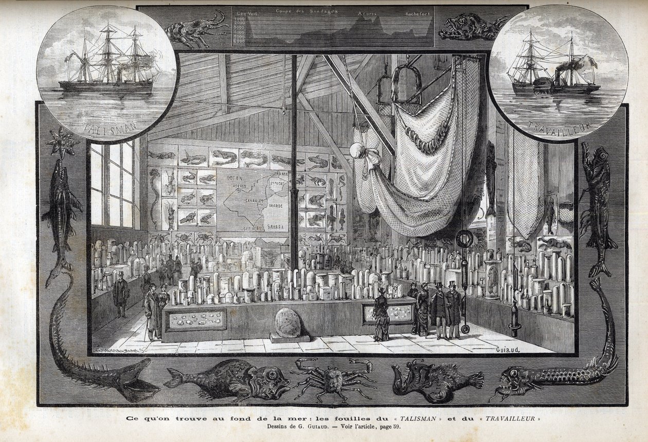 Ausstellung im Naturhistorischen Museum von Paris der Sammlungen, die während der Kreuzfahrten gebildet wurden - Wissenschaftliche Expeditionen des Arbeiters und des Talismans in den Jahren 1880 von Anonymous Anonymous