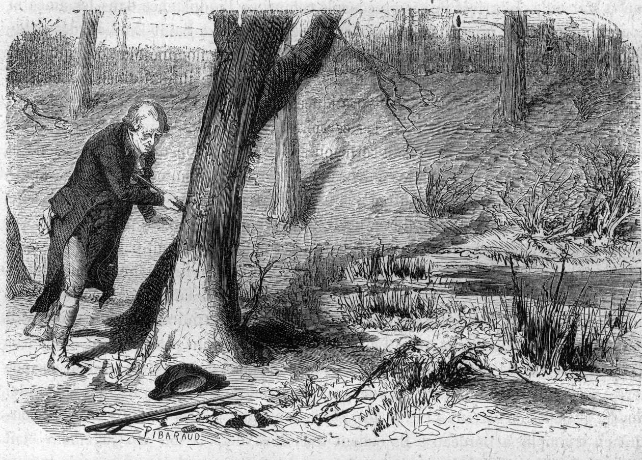 JEAN-MARIE ROLAND DE LA PLATIERE, englischer Staatsmann, dargestellt im Moment seines Selbstmords durch Sturz auf sein eigenes Schwert - Selbstmord von Jean Marie Roland, Viscount de la Platiere (1734-1793) - Gravur in „Histoire des Girondins“ von Alphonse von Anonymous Anonymous