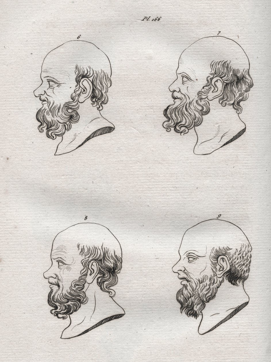 Physiognomie - Mehrere Köpfe des griechischen Philosophen Sokrates von Anonymous Anonymous