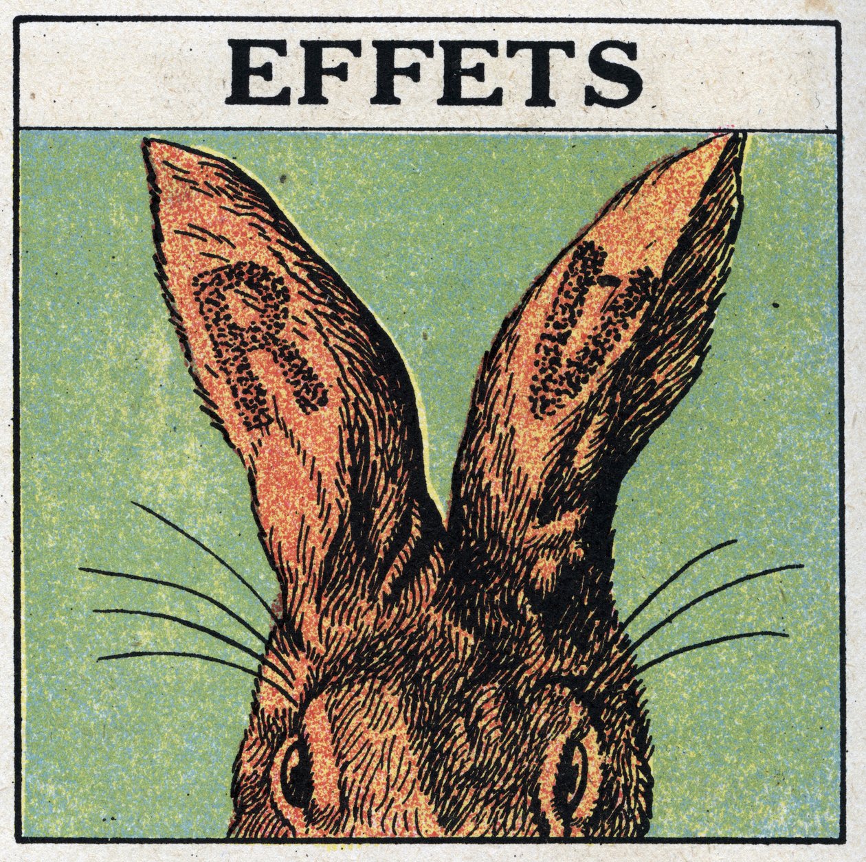 Ultraviolette Strahlen: Effekte. Wir bedecken die Ohren eines Kaninchens mit schwarzem Karton oder schneiden die Buchstaben R und V aus, dann setzen wir das Tier den ultravioletten Strahlen einer Quecksilberlampe aus: die Ohren zeigen Verbrennungsspuren, d von Anonymous Anonymous