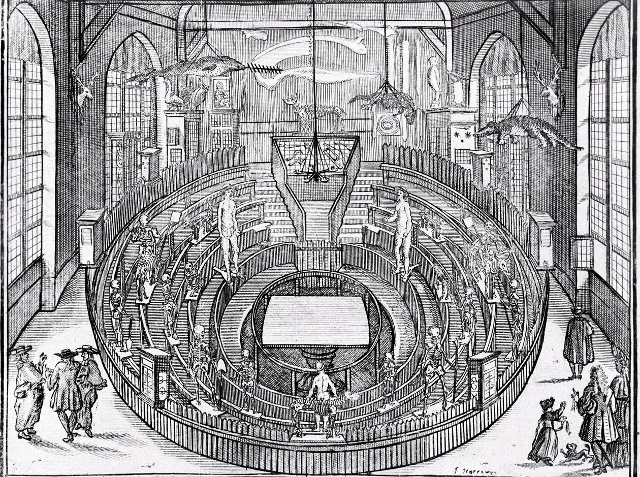 Ansicht eines anatomischen Theaters wahrscheinlich an der Universität Leiden im frühen 17. Jahrhundert (Gravur) von Anonymous Anonymous