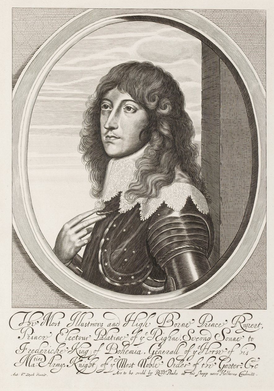?Der erlauchte und hochgeborene Prinz Rupert?, um 1640 von Anthony van Dyck