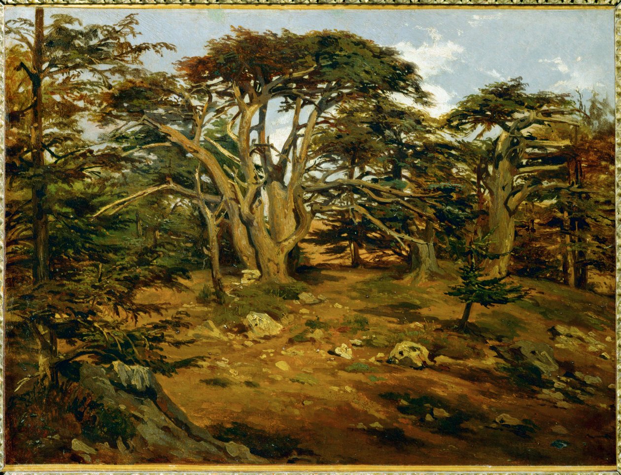 Die alten Zedern auf dem Libanon von Antoine Alphonse Montfort