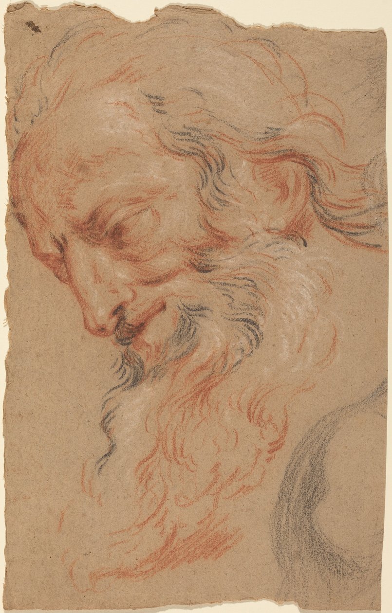 Kopf eines alten Mannes von Antoine Coypel