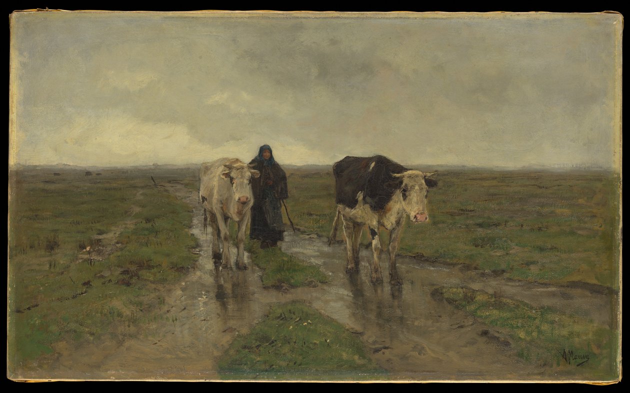 Wechselnde Weide von Anton Mauve