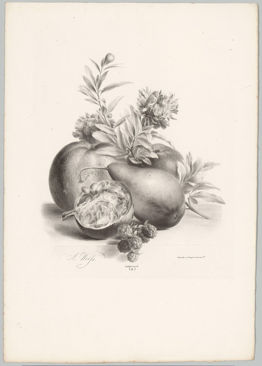 Blumen, Äpfel, Birne, Granatapfel und Brombeeren von Anton Weiss